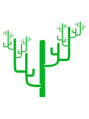 boughs cool large desert cactus design pattern
