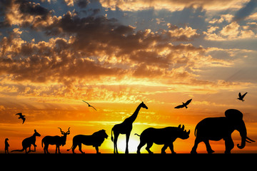 Fototapeta na wymiar Silhouettes of animals on golden cloudy sunset background