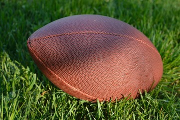 Football in grass