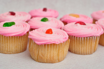 Pink cupcakes displayed on a white background