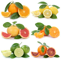Sammlung Orangen Zitronen Mandarinen Grapefruit Früchte Freiste