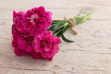 Bouquet of purple carnations on white wooden background
