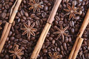 Coffee beans and species