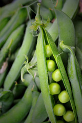 fresh pod green peas on closeup 