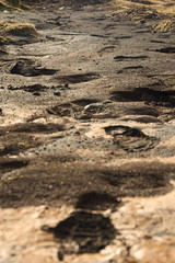 Fußspuren in Lavaschlamm
