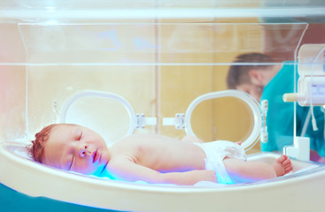newborn baby get the light therapy in infant incubator - obrazy, fototapety, plakaty