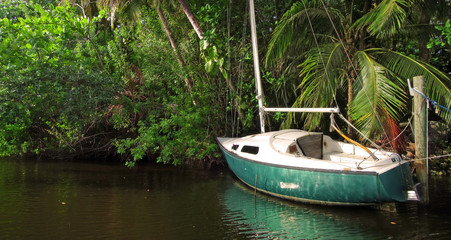 Fototapeta na wymiar Abandoned Sailboat on Jungle River