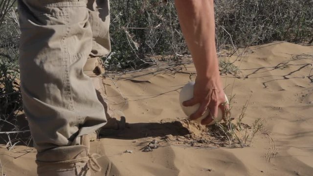 man found an ostrich egg in the hot sand
