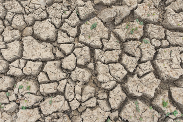 Dry, cracked soil from drought