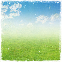Fototapeta na wymiar green grass field , nature background