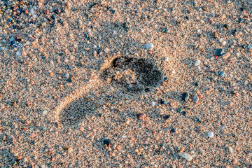 Trace de pied dans le sable