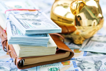 Piggy bank and money