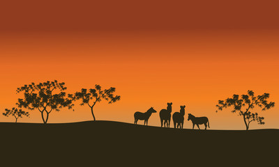 Fototapeta na wymiar zebra family of silhouette in hills