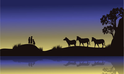 Fototapeta premium Zebra and meerkat at night scenery