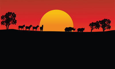 Fototapeta na wymiar Landscape zebra and rhino silhouette with sun