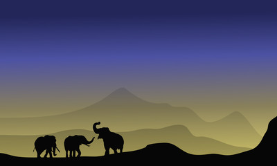 Elephant silhouette in desert