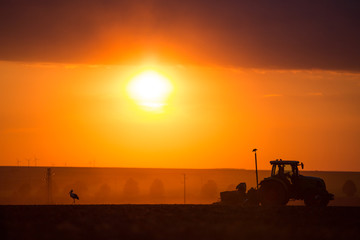 Fototapeta premium Farmer in tractor preparing land with seedbed cultivator