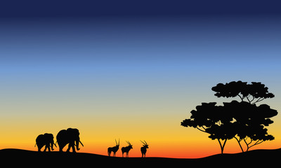 Fototapeta na wymiar Elephant and antelope silhouette