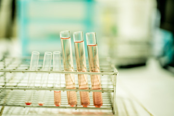 working in laboratory.