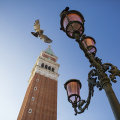 Fototapeta na wymiar St Mark's Campanile bell tower, dove and vintage streetlight in Piazza San Marco, Venice, view from the ground