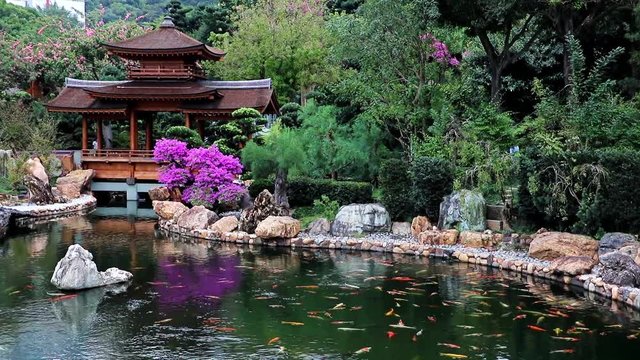 Traditional wooden building near the lake with fish, Nan Lian Garden
