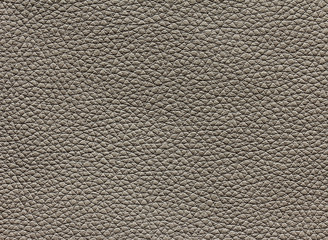 Texture gray leather