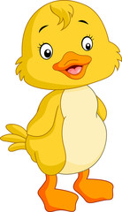 Cute chicken cartoon