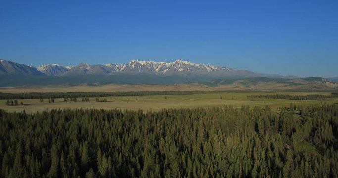 Aerial Shot of open rangeland with forest and mountains. Altai, Siberia. Kurai Steppe.