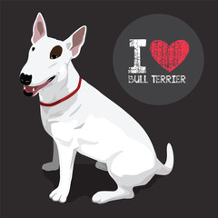 Obraz premium Bull Terrier