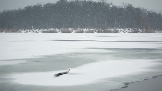 Frozen snow covered river with thawed patch near shore