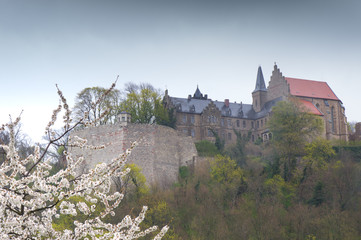 castle mansfeld in worms eye