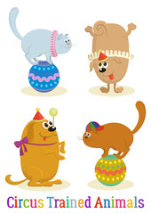 Set of Cheerful Kind Circus Trained Animal, Dogs and Cats, Holiday Illustration, Funny Cartoon Characters, Isolated on White Background. Vector