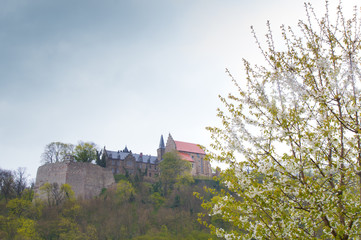 castle mansfeld in worms eye