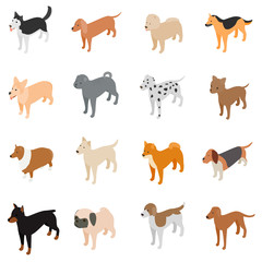 Dog icons set, isometric 3d style
