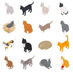 Cat icons set, isometric 3d style