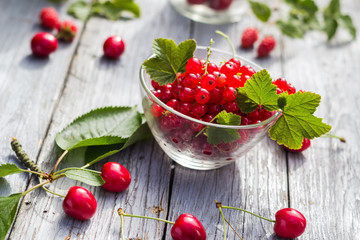 Freshly picked fruits currants cherries table