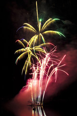 Colorful fireworks in the shape of palm trees