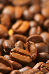 Roasted coffee beans