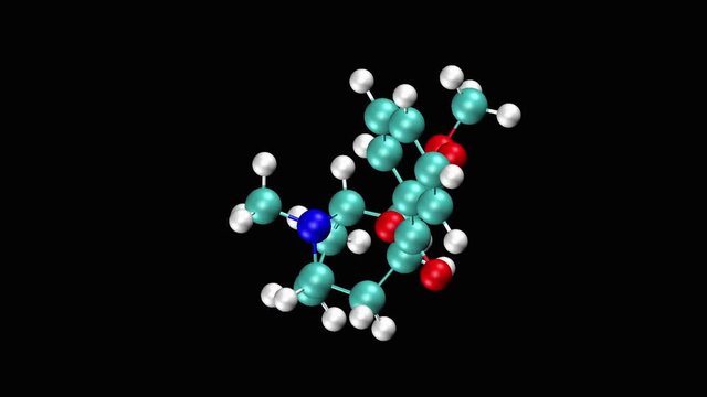 Cocaine molecule