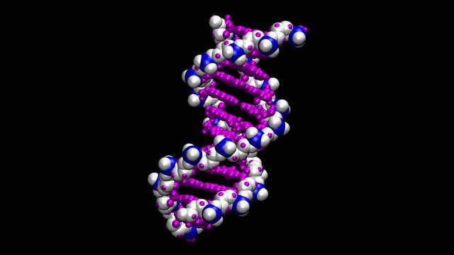 DNA molecule