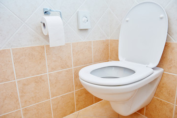 toilet sanitary sink or bowl and paper