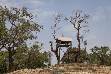 Tree house of the Tonle sap lakeshore. Cambodia. 