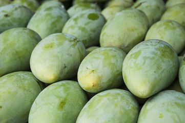 fresh green mangoes,Thailand