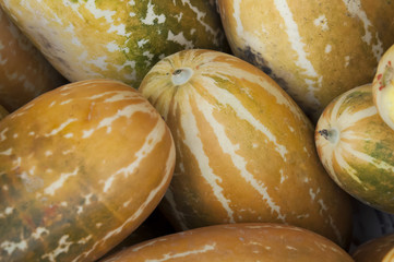 Thai Cantaloupe,Thailand