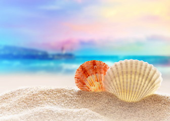 Seashells and summer beach