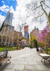 Naklejka premium Benches in City Hall Park in Lower Manhattan