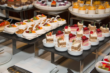  Collection of delicious assorted mini dessert