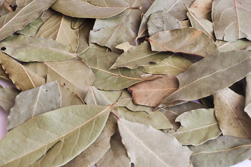 Macro bay leaves for cooking
