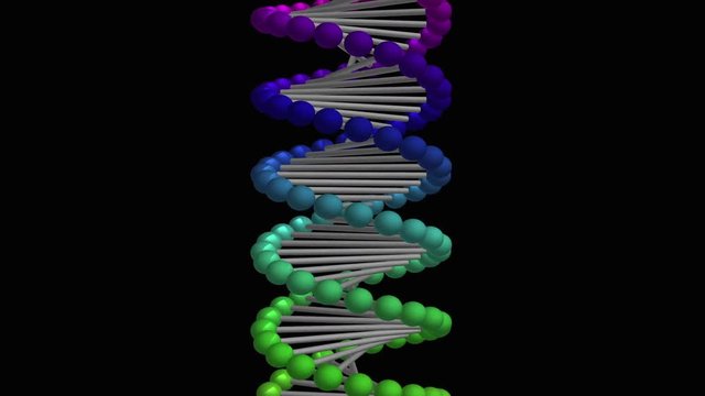Graphic animation of DNA molecule