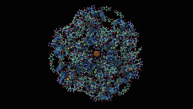 Graphic animation of insulin